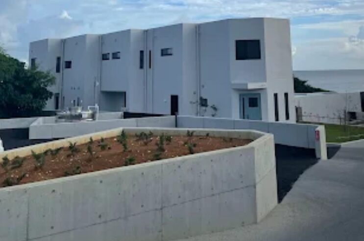 大野智(嵐)-画像_1