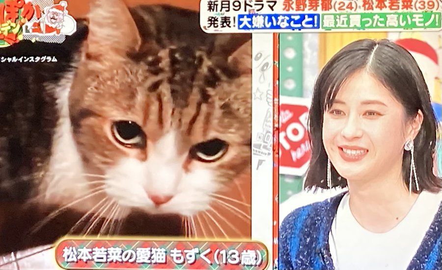 松本若菜-画像_1