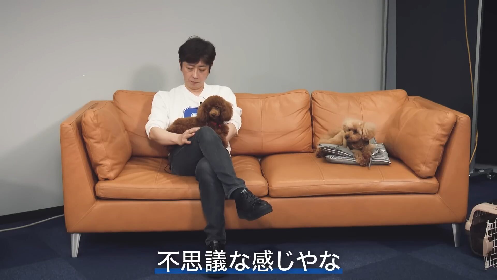 後藤輝基-画像_1