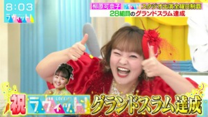 柳原可奈子-年収_4