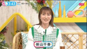 新山千春-年収_3