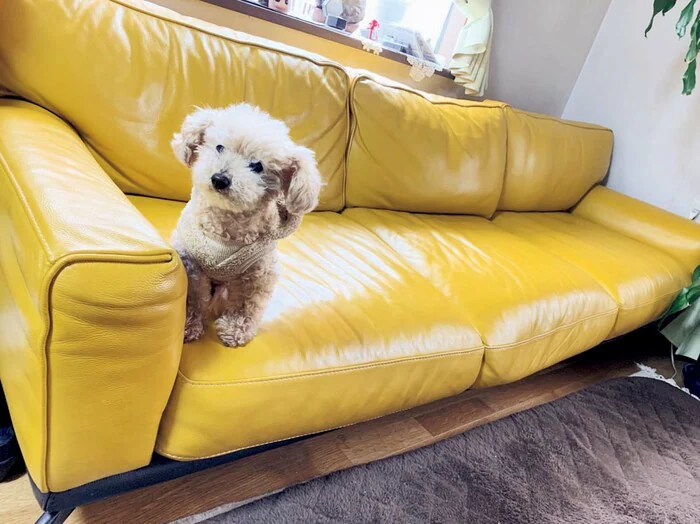 本宮泰風-画像_2